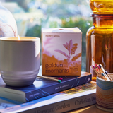 Modern Sprout, Garden Vibes Candle/Planter 2-in-1, Golden Moments, Sage, Confete Party