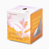 Modern Sprout, Garden Vibes Candle/Planter 2-in-1, Golden Moments, Sage, Confete Party