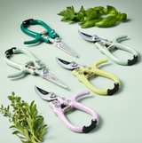 Modern Sprout, Lavender Garden Shears, Confete Party