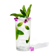 14oz Highball Cocktail Glass