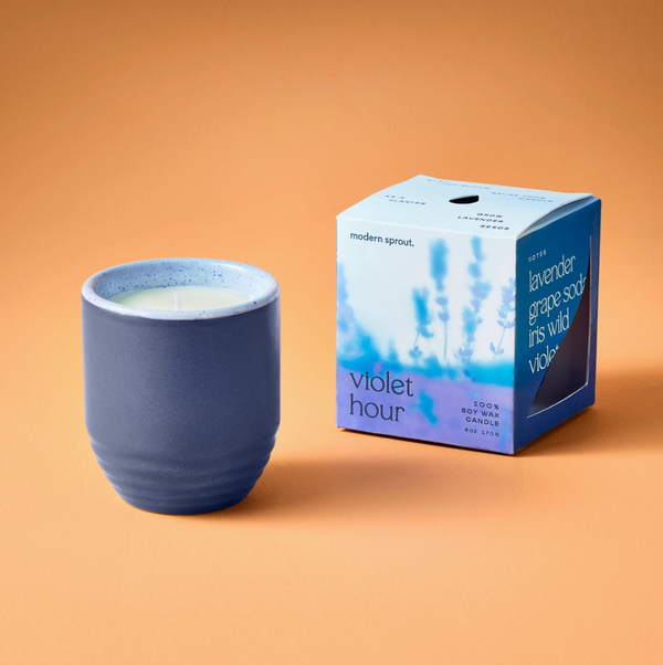 Modern Sprout, Candle and Planter 2-in-1, Violet Hour, Lavender, Confete Party