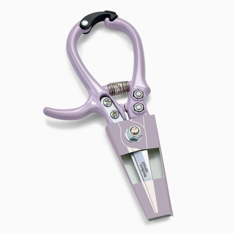Modern Sprout, Lavender Garden Shears, Confete Party