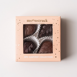 Moonstruck Chocolate Co, 4 pc Harvest Collection, Confete Party