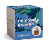 Sprigbox Mimosa Grow Kit with seeds, growing medium, and planting instructions in gift-ready packaging.