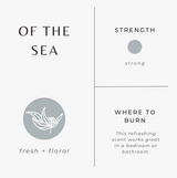 Of the Sea Candle